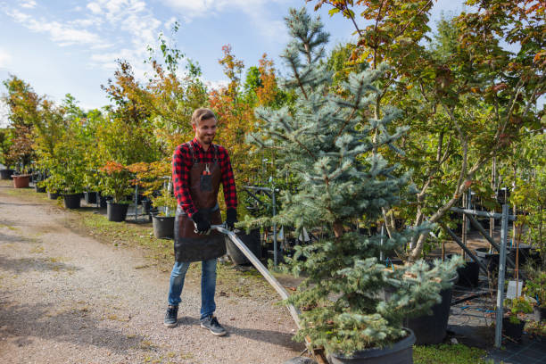 Best Lawn Watering Services  in Santa Clara, NM